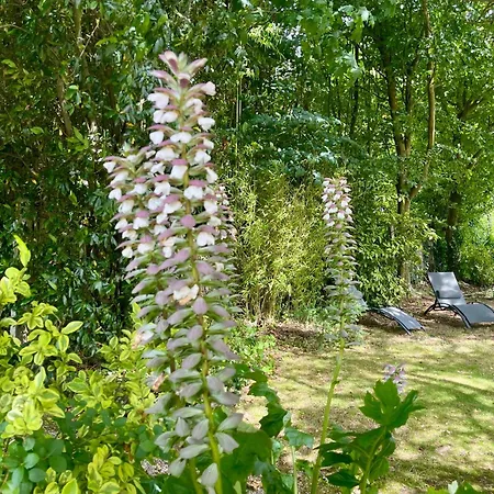 Daire Duplex Bellevue, Vue Mer, A 50m De La Plage!