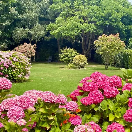 Daire Duplex Bellevue, Vue Mer, A 50m De La Plage! *