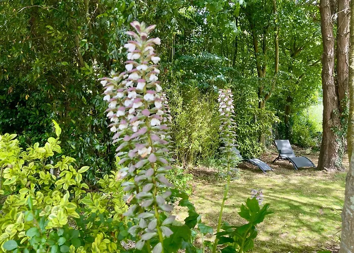 Daire Duplex Bellevue, Vue Mer, A 50m De La Plage!