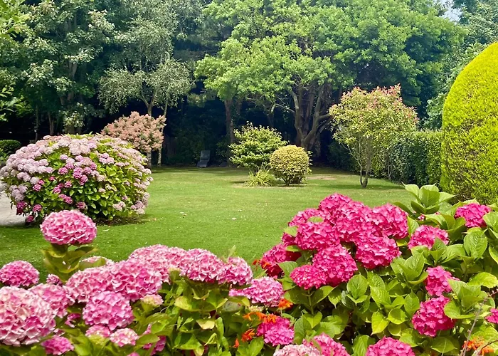 Daire Duplex Bellevue, Vue Mer, A 50m De La Plage! *